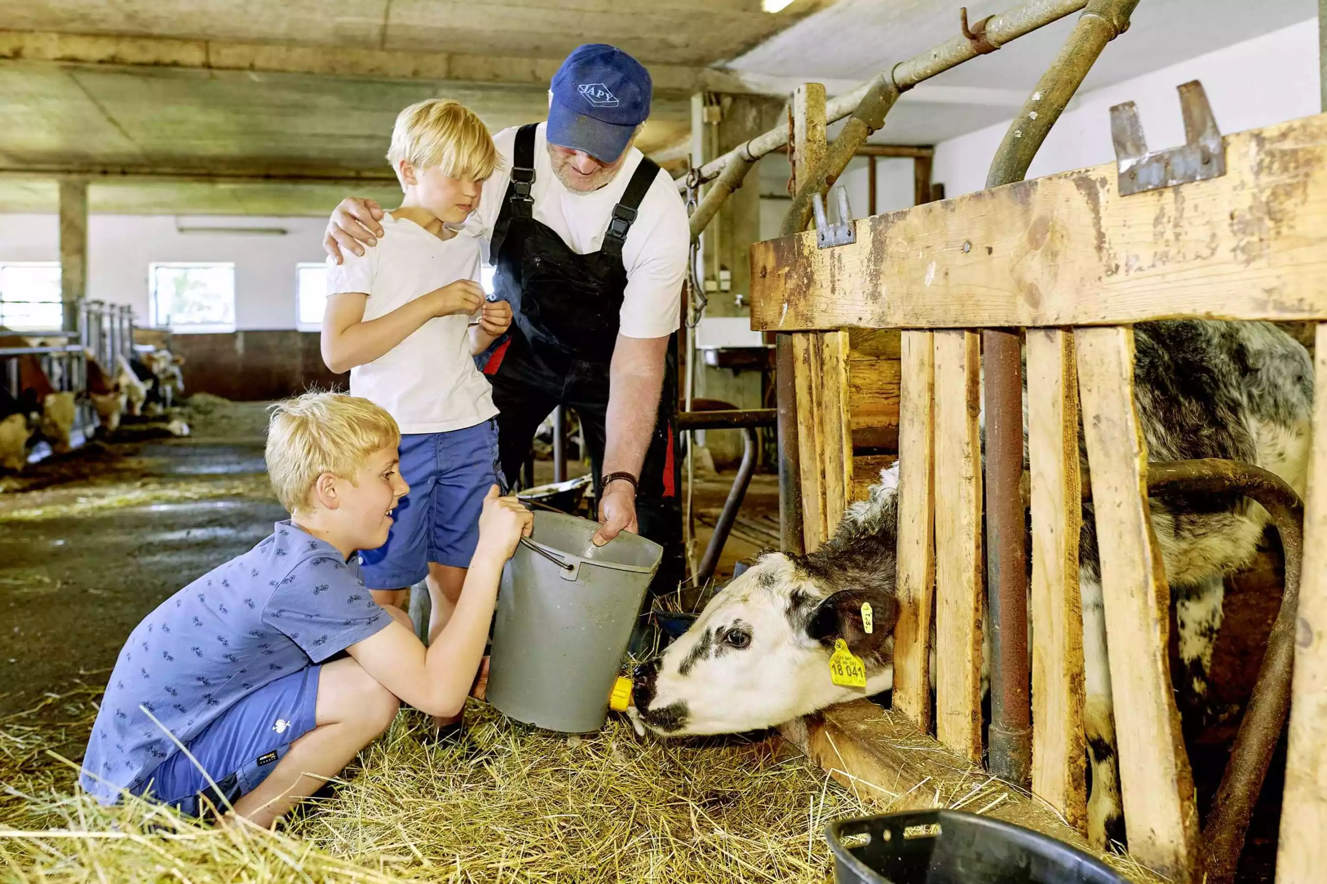 Kühe füttern mittendrin Heimat echtes Landleben Chiemgau