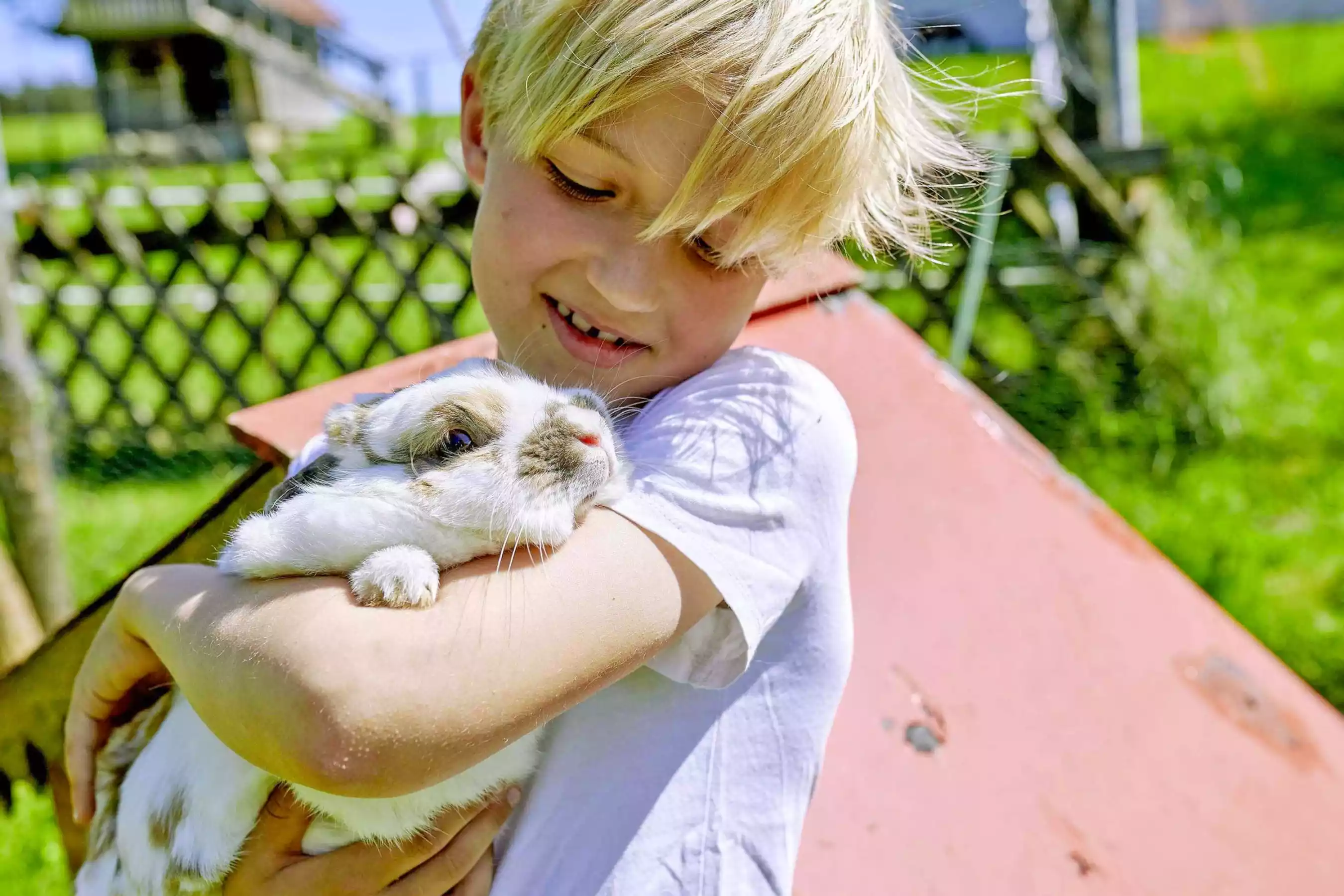 Tiererlebnisse Kinderurlaub Hasen streicheln Osternest basteln im Bauernhofurlaub