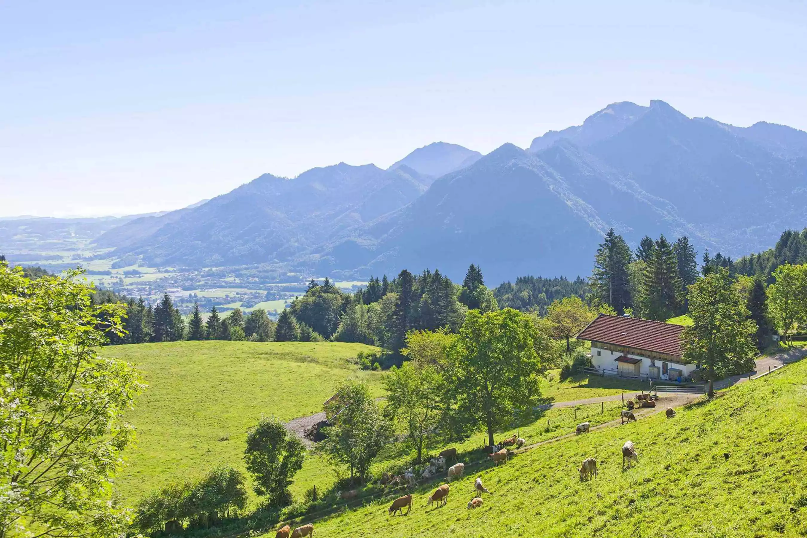 Almwanderungen Bergwanderungen Chiemgauer Alpen Mountainbiken Radtouren