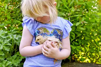 Osterhasen Ostereiersuche Tiererlebnisse für Kinder Traditionelles Osterfest
