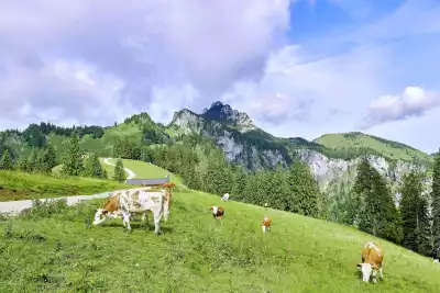 Bauernhoferlebnisse Bauernhofurlaub in Oberbayern Wanderungen Chiemgauer Alpen