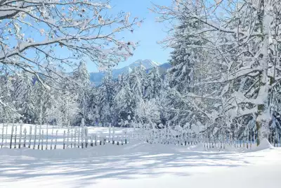 Bauernhofurlaub mit verschneitem Winterwald